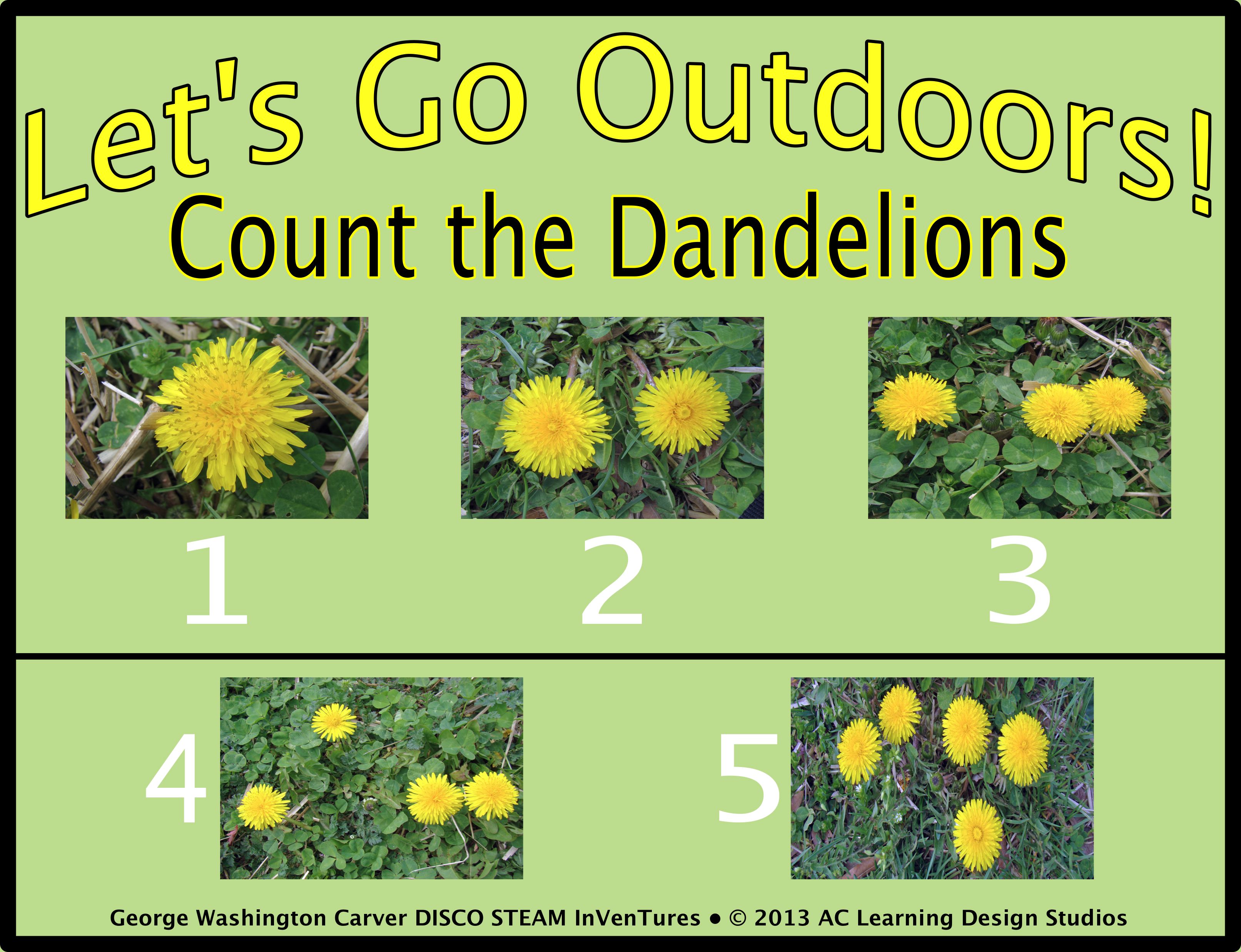 Count_Dandelions.jpeg